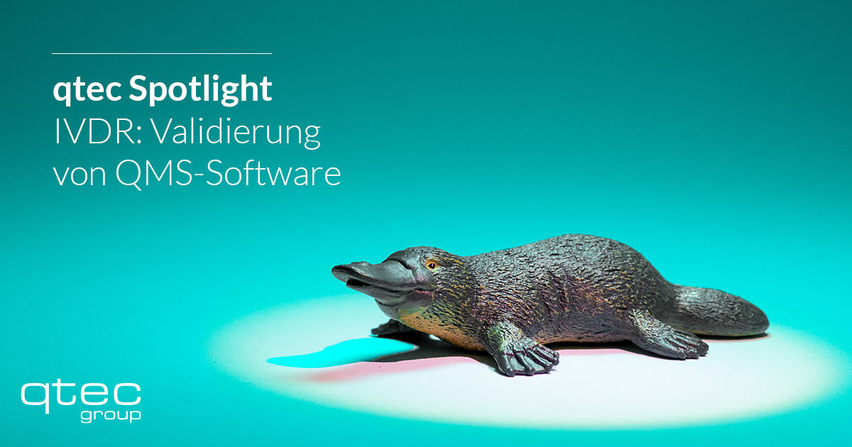 Spotlight IVDR: Validierung von QMS-Software| qtec-group