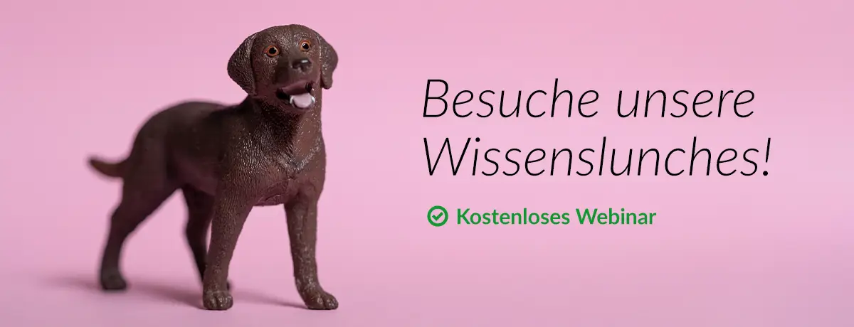 qtec Group | Besuche unsere Wissenslunches!