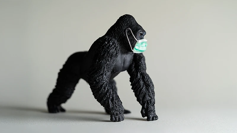 qtec Group | Fokusmonat Biologische Sicherheit qtec Group | Fokusmonat Biologische Sicherheit| qtec-group